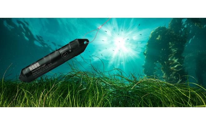 HOBO MX20L Wireless Water Level Data Logger submerged via cable