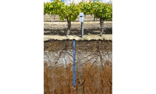 HOBOnet Multi-Depth Soil Moisture Sensor probe measuring soil moisture and soil temperature