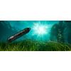 HOBO MX20L Wireless Water Level Data Logger submerged via cable