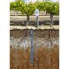 HOBOnet Multi-Depth Soil Moisture Sensor probe measuring soil moisture and soil temperature