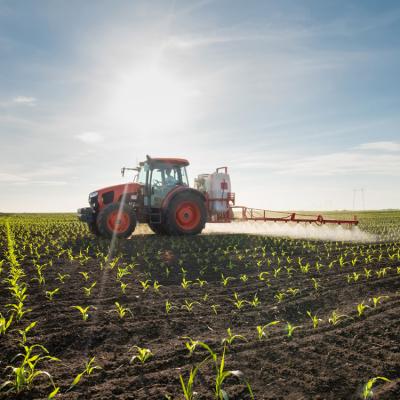 A view from a field with young plants growing and a tractor applying a liquid from sprayers on a long boom.